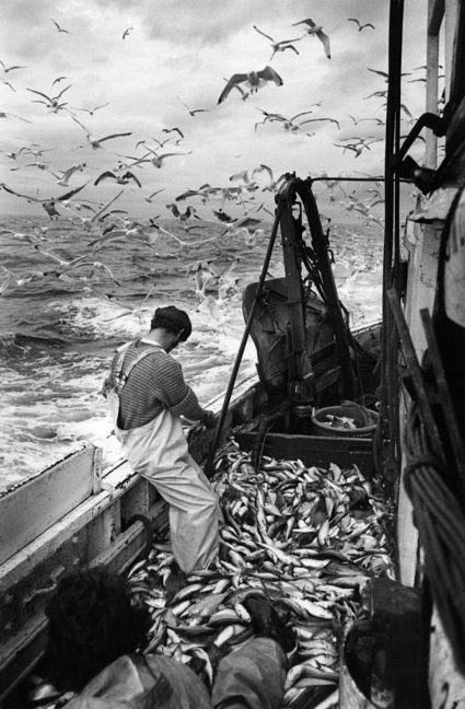 Fishing IndustryNick Hedges1981.jpg