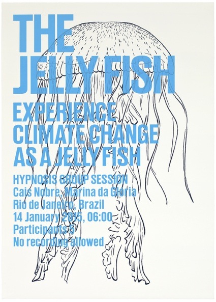 _experience_jellyfish_web.jpg