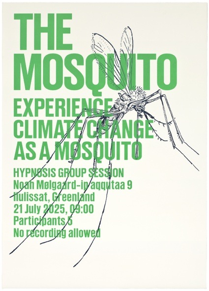 _experience_mosquito_web.jpg