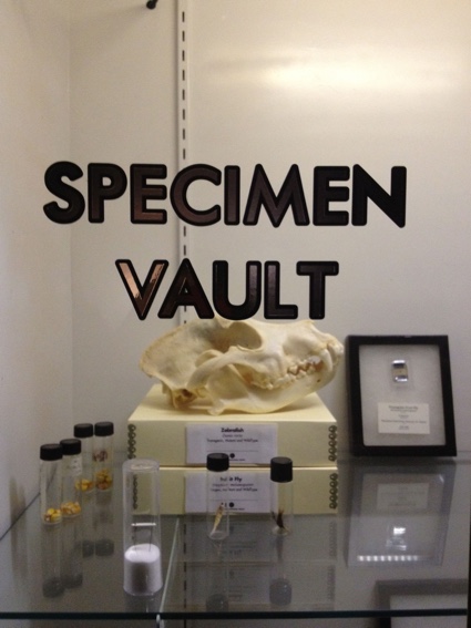 specimen-vault.jpg