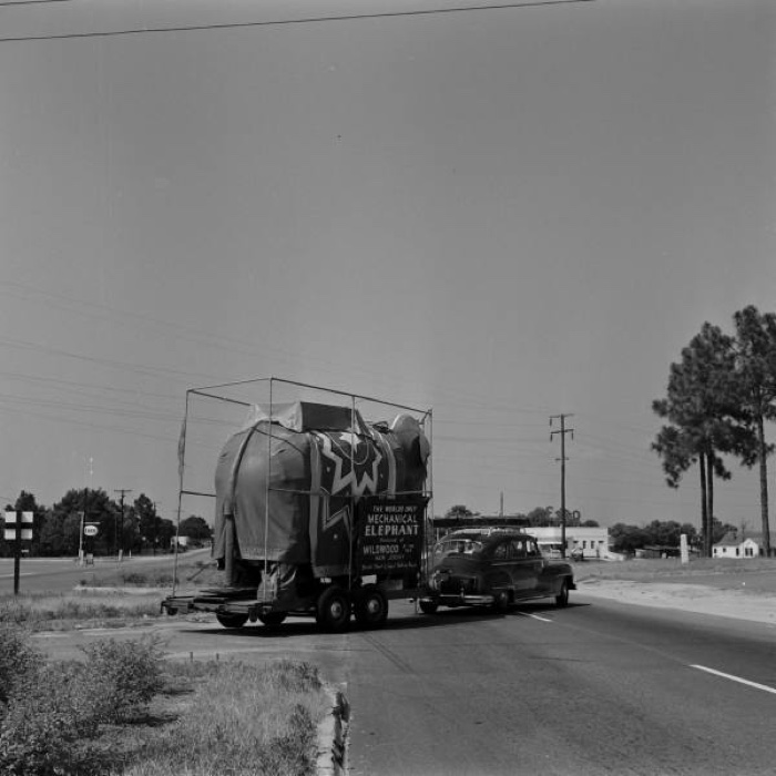 0-elephant-fayetteville-1953-life-p50