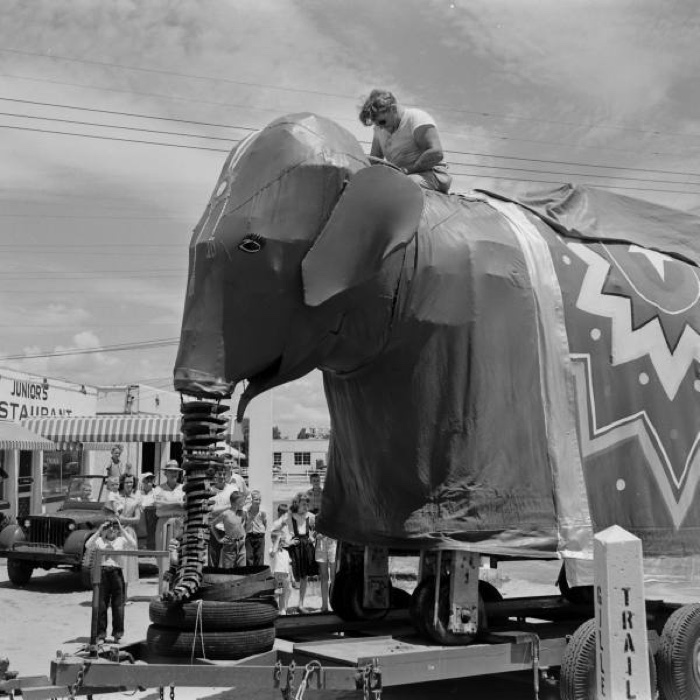 0-elephant-fayetteville-1953-life-p7