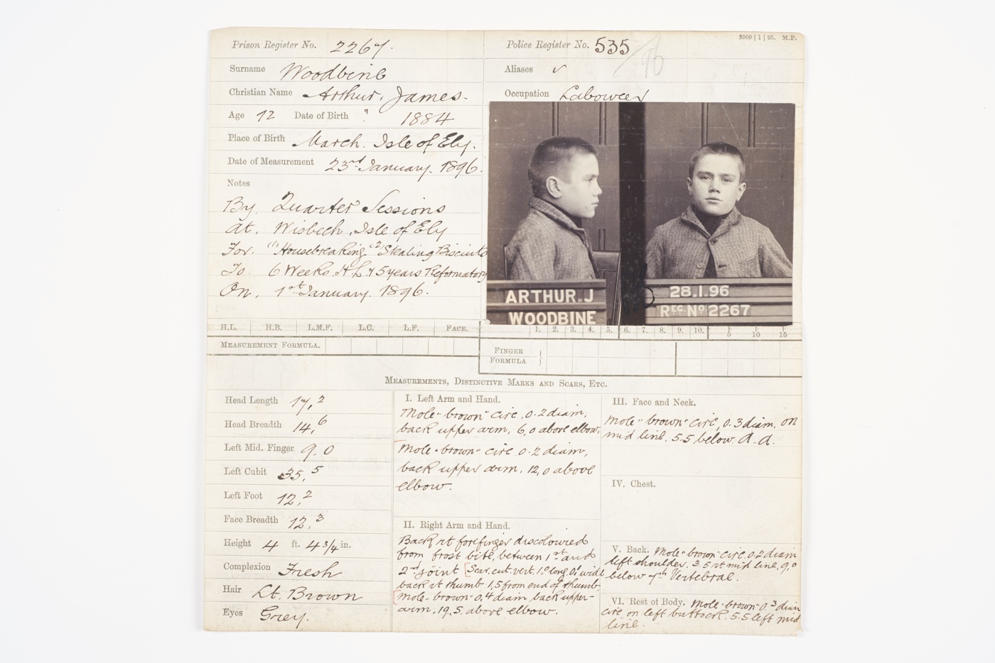 2a1. Handwritten criminal record card for Arthur James Woodbine, aged 12, 1896 ∏ Museum of London