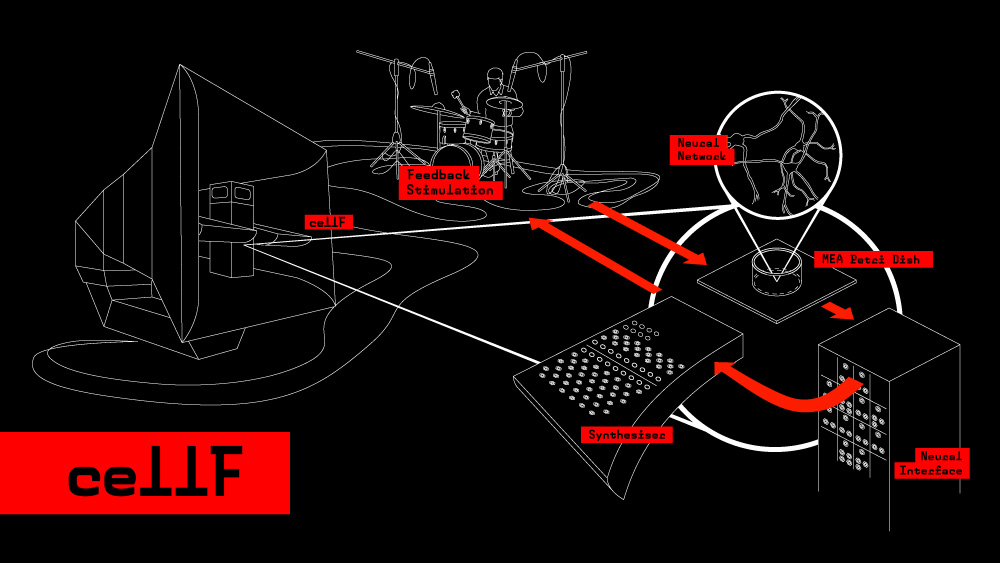 15-11-03-Cellf-Illustration-web