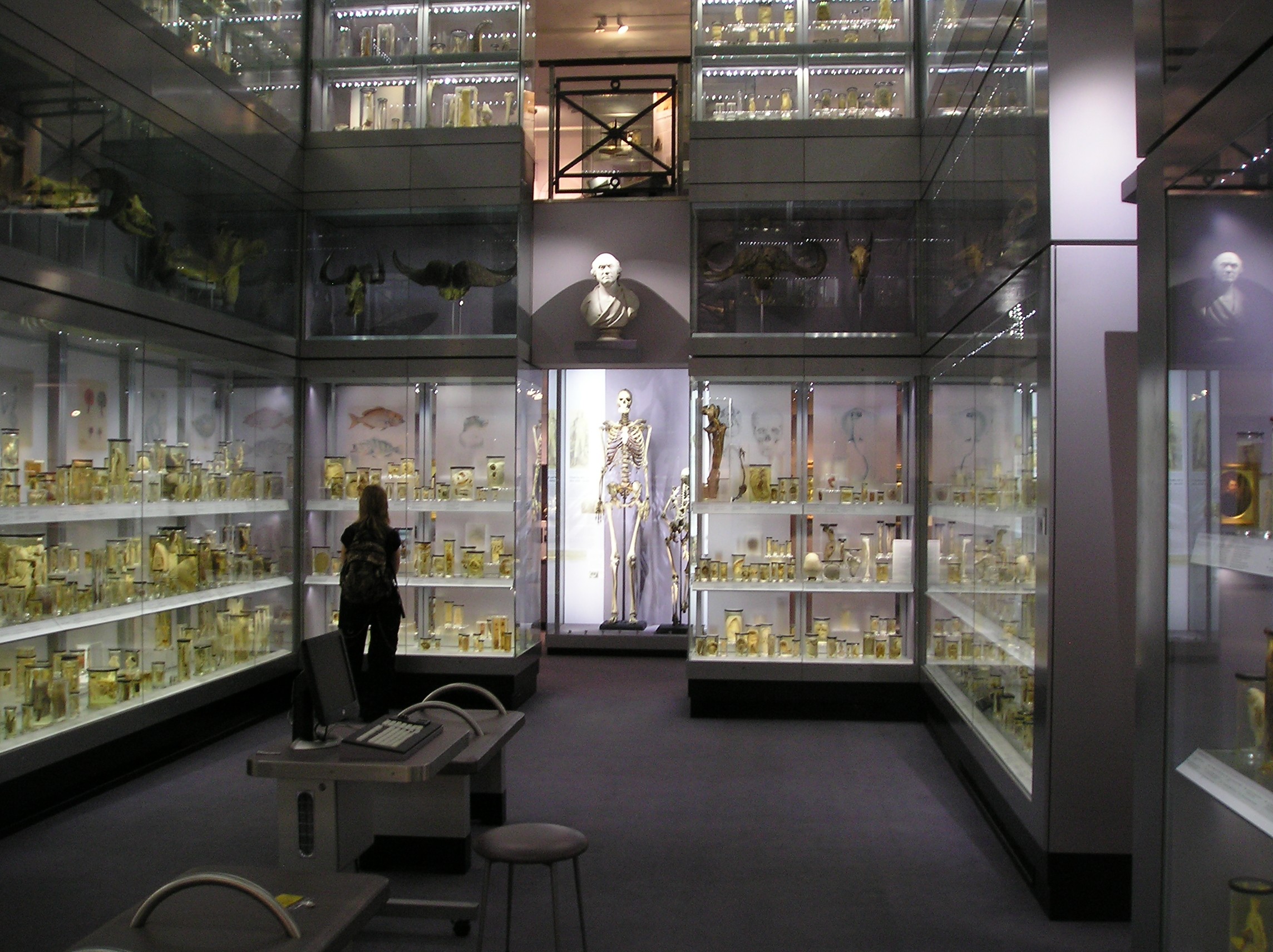 Hunterian_Collection