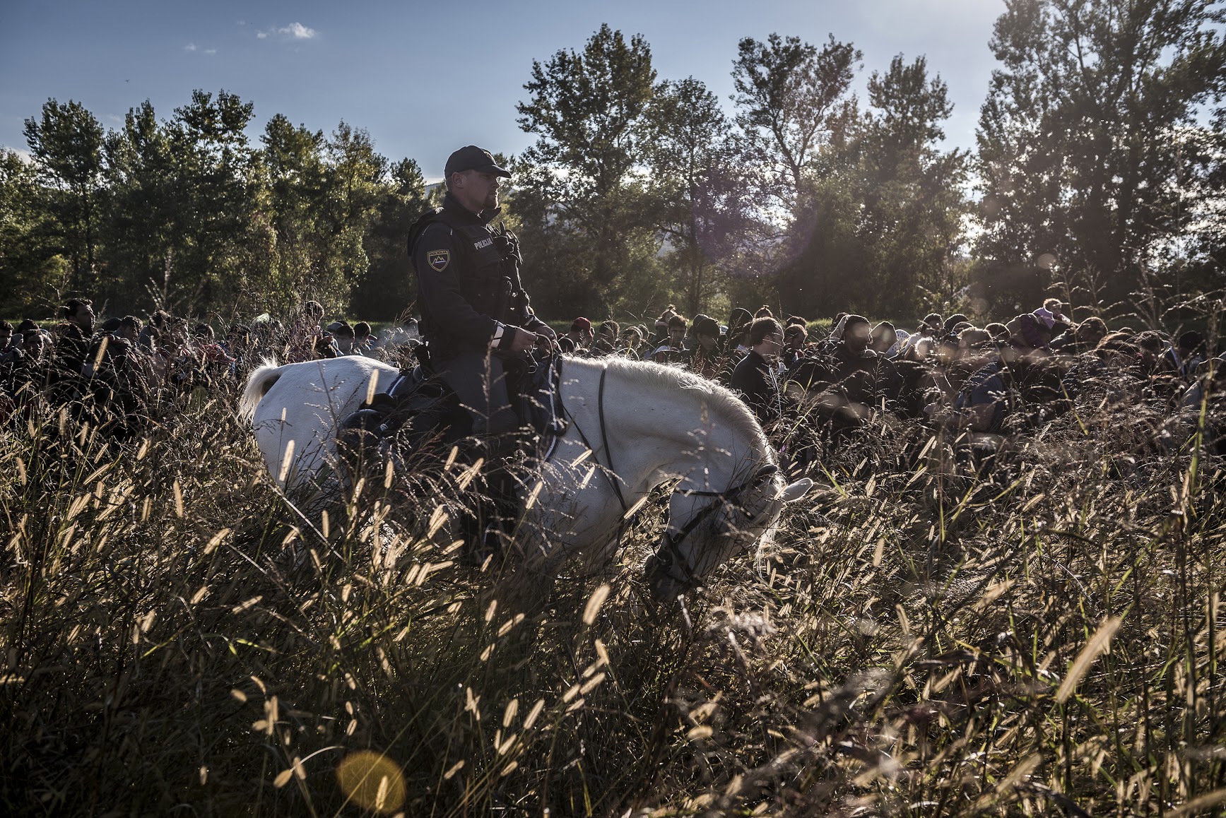 7 - A Slovenian police officer on horseback escorted migrants after they crossed from Croatia.