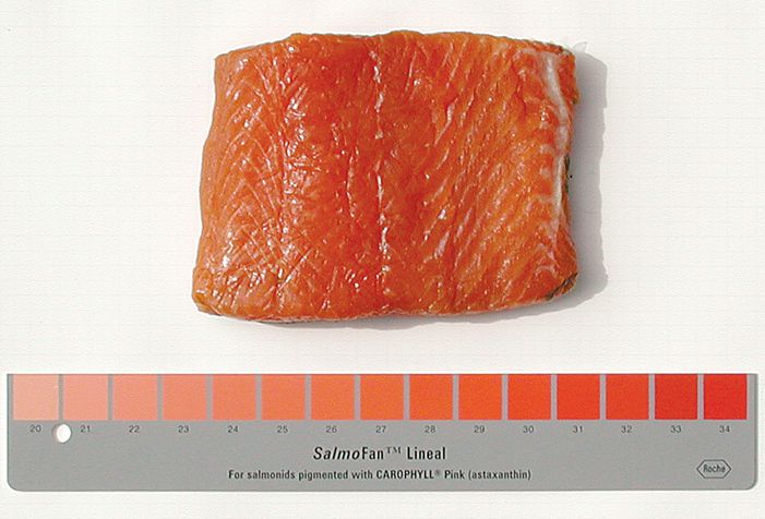 earlier-images-of-salmofan-roche_edwardtufte-com