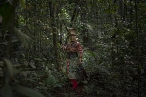The Funambulist: Forest Struggles