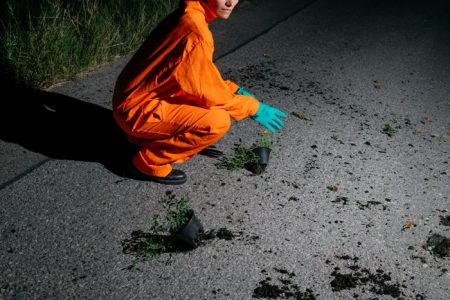 When forbidden flowers escape from the lab – We Make Money Not Art