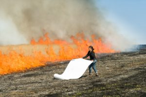 Soil Turn—A Field Guide to Artistic Earthly Engagements